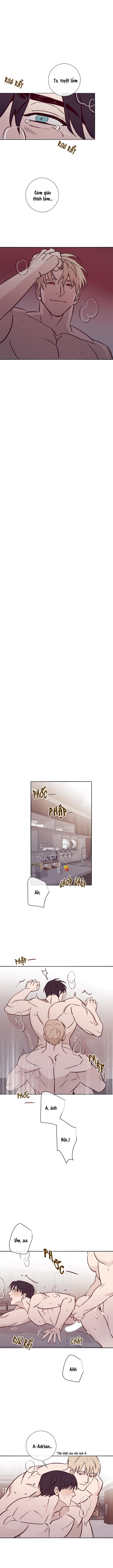 độc dược (marcel) chapter 17 6