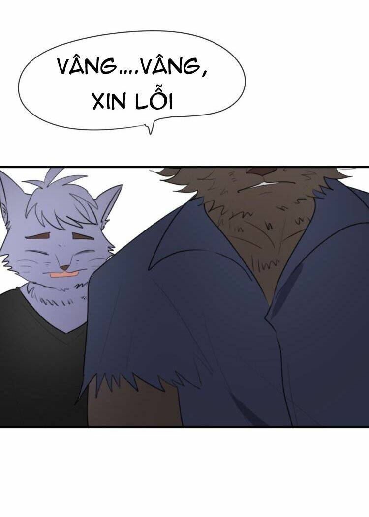 tiểu miêu và hắc diệu thạch chapter 8 33