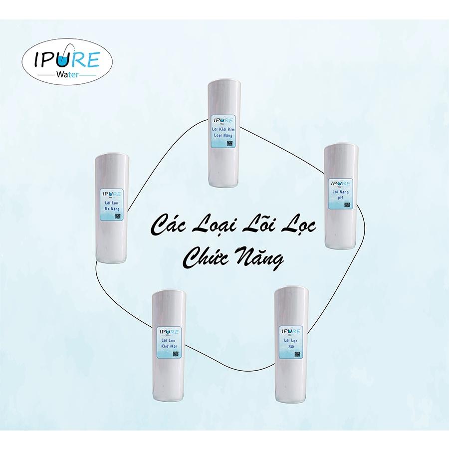 Máy lọc nước thô 4 cấp lọc DNX IPURE bộ lọc nước đầu nguồn nâng pH khử sắt clo