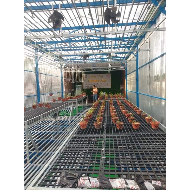 vỉ vỉ lót sàn 95*95cm