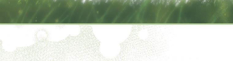 cổ tích về người mẹ kế chapter 90 236