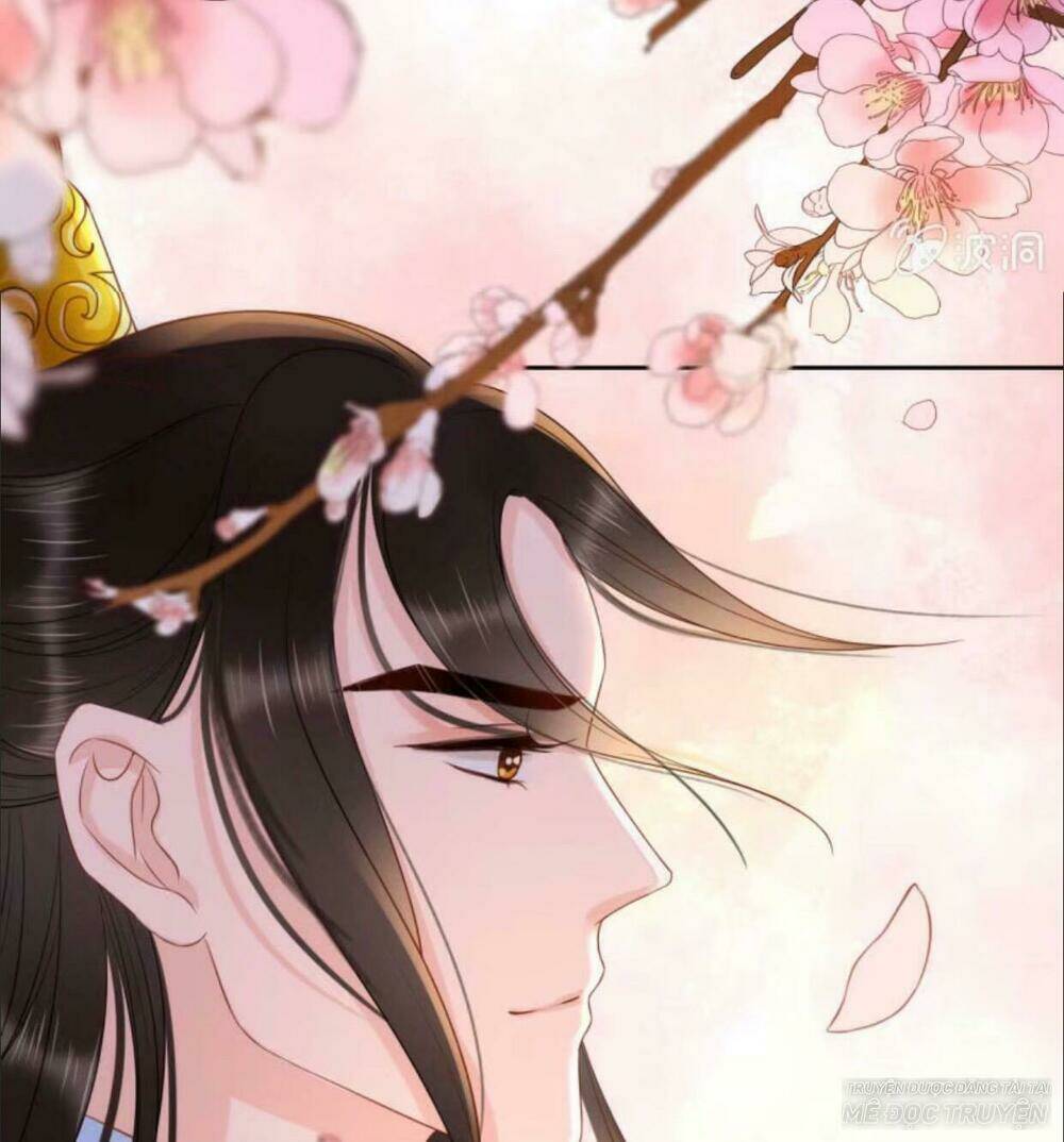 sủng phi của vương chapter 41 31