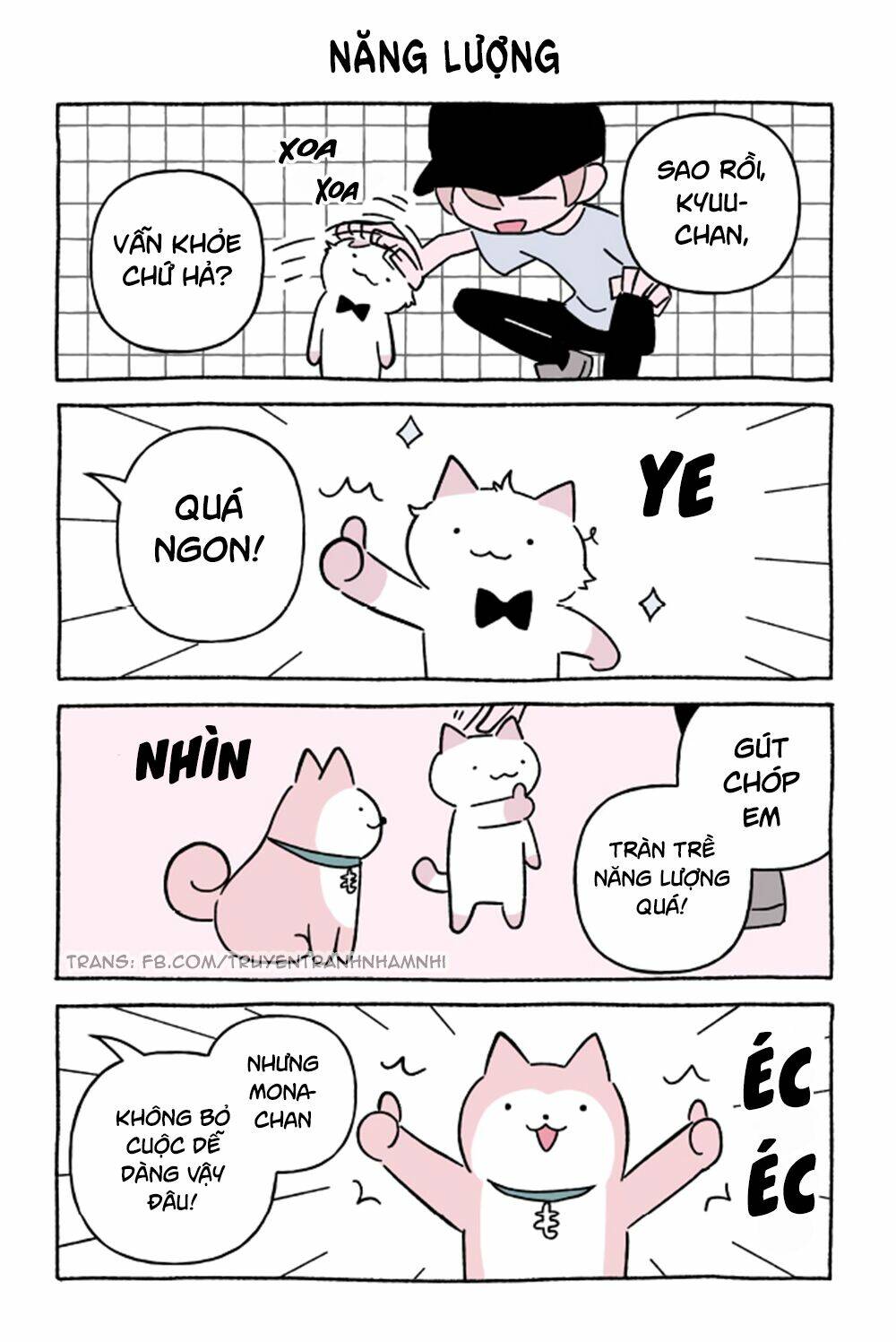 chú mèo kỳ diệu kyuu-chan chapter 620 2