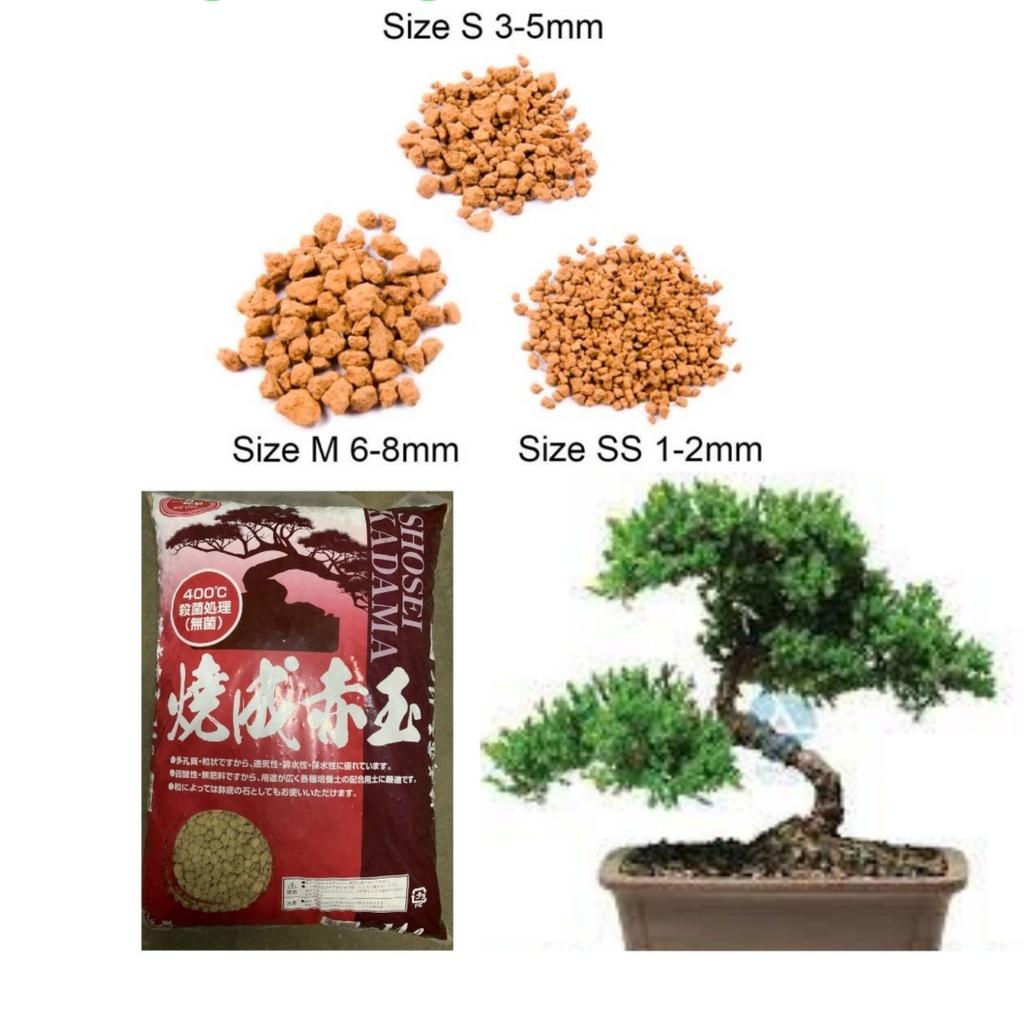 1kg đất trồng bonsai Akadama Nhật bản nhiều size, trồng sen đá thoát nước tốt.