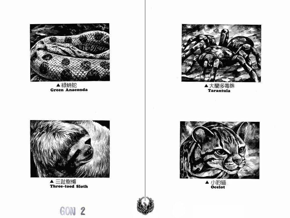 gon - khủng long siêu quậy chapter 7 18