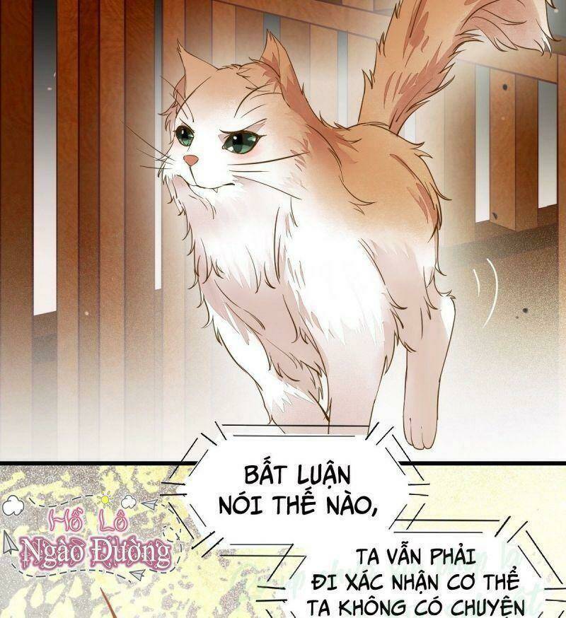 sát thủ vương phi không dễ chọc chapter 34 51