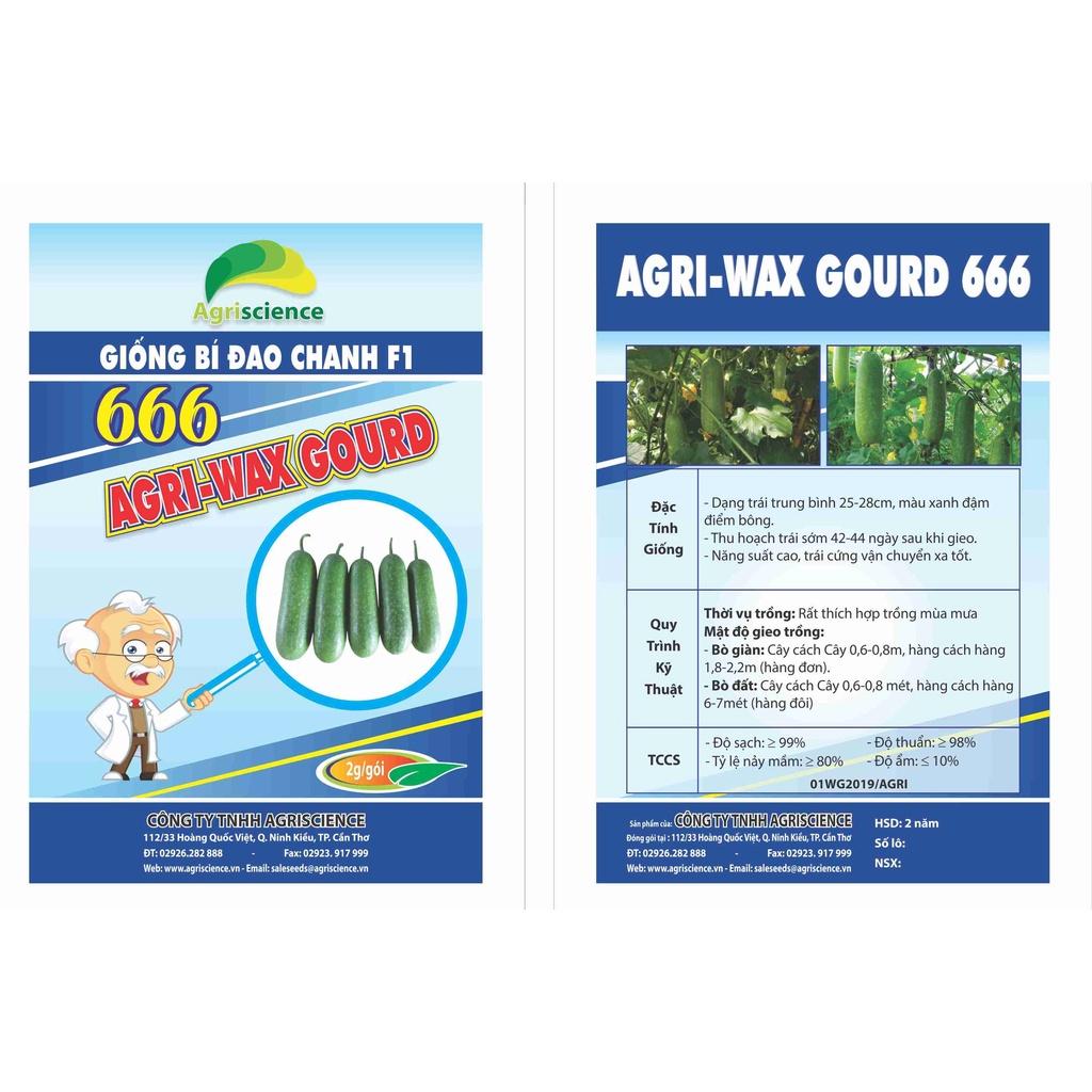 Hạt Giống bí đao chanh lai F1 - Agri Wax Gourd 666 ( 1 gói 2gram trên 100 hạt )