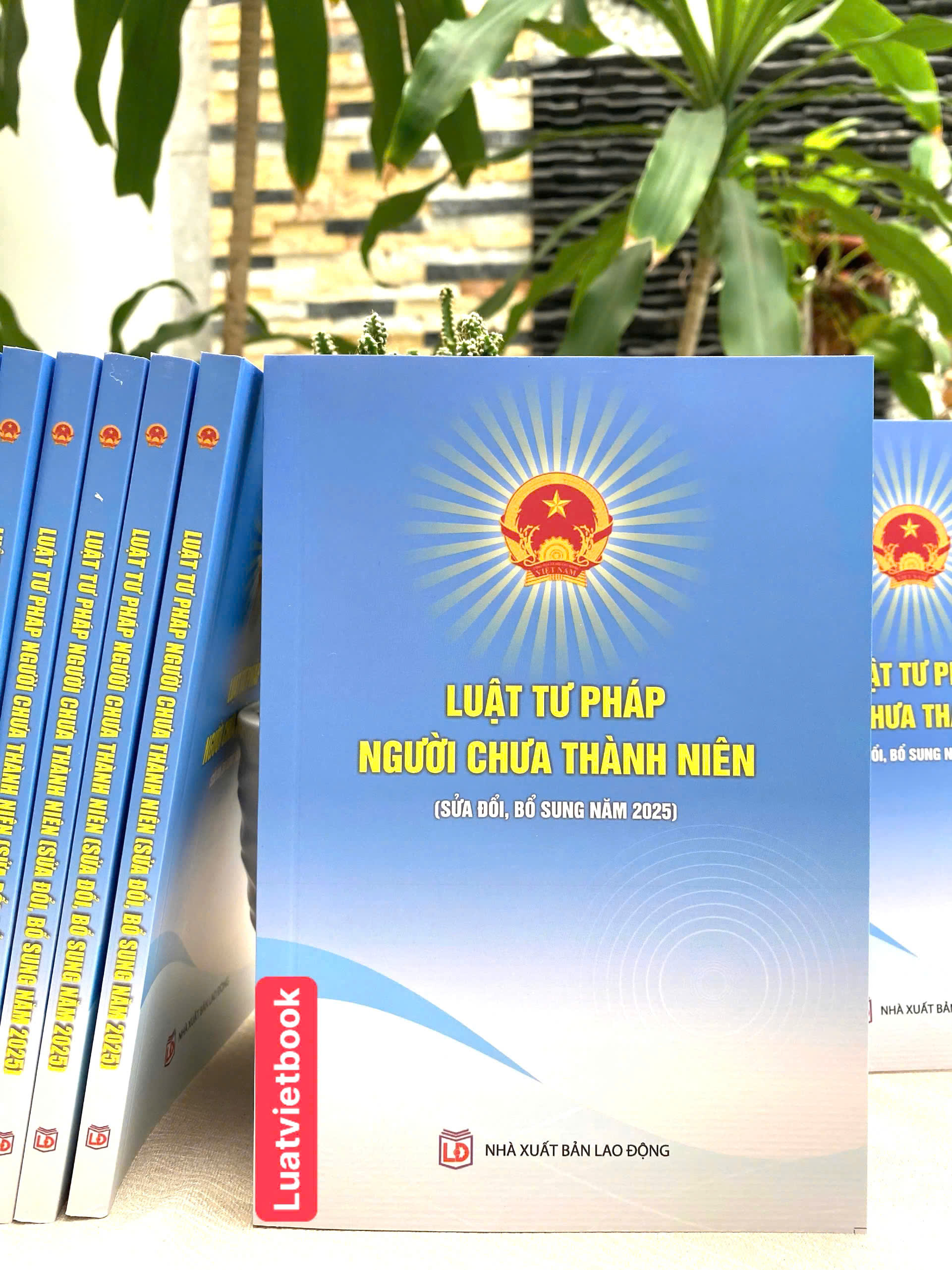 Luật Tư Pháp Người Chưa Thành Niên ( Sửa Đổi, Bổ Sung Năm 2025)