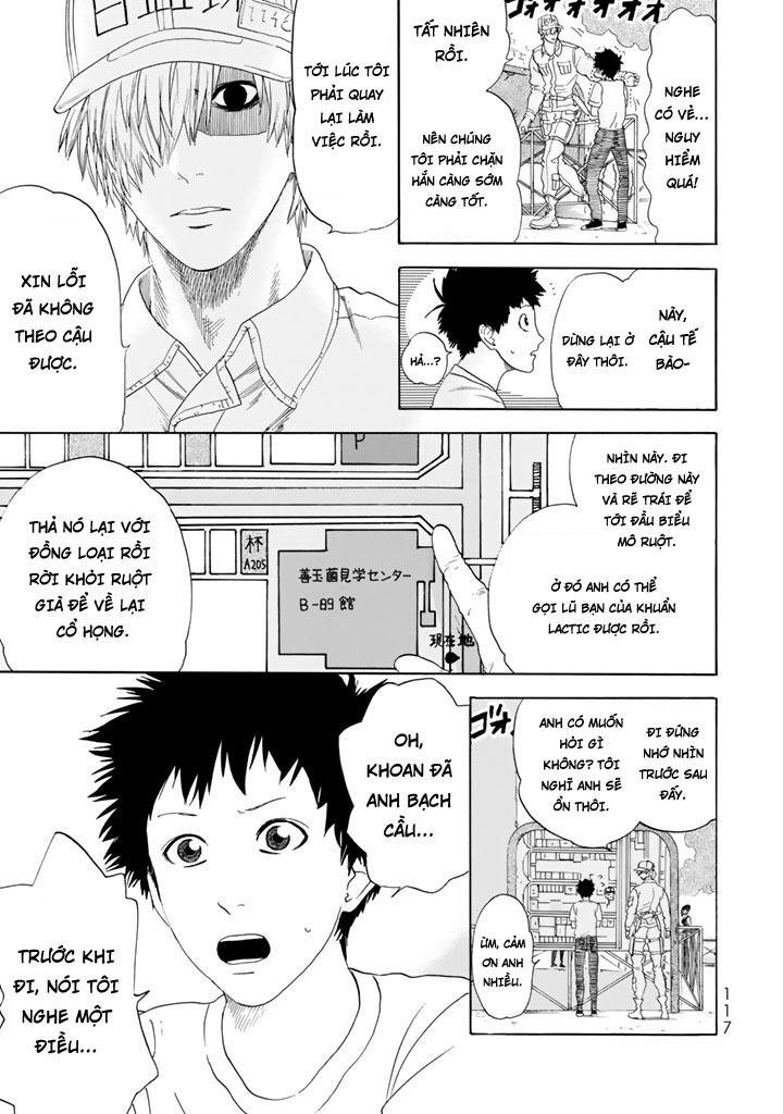 hataraku saibou! chapter 23 11