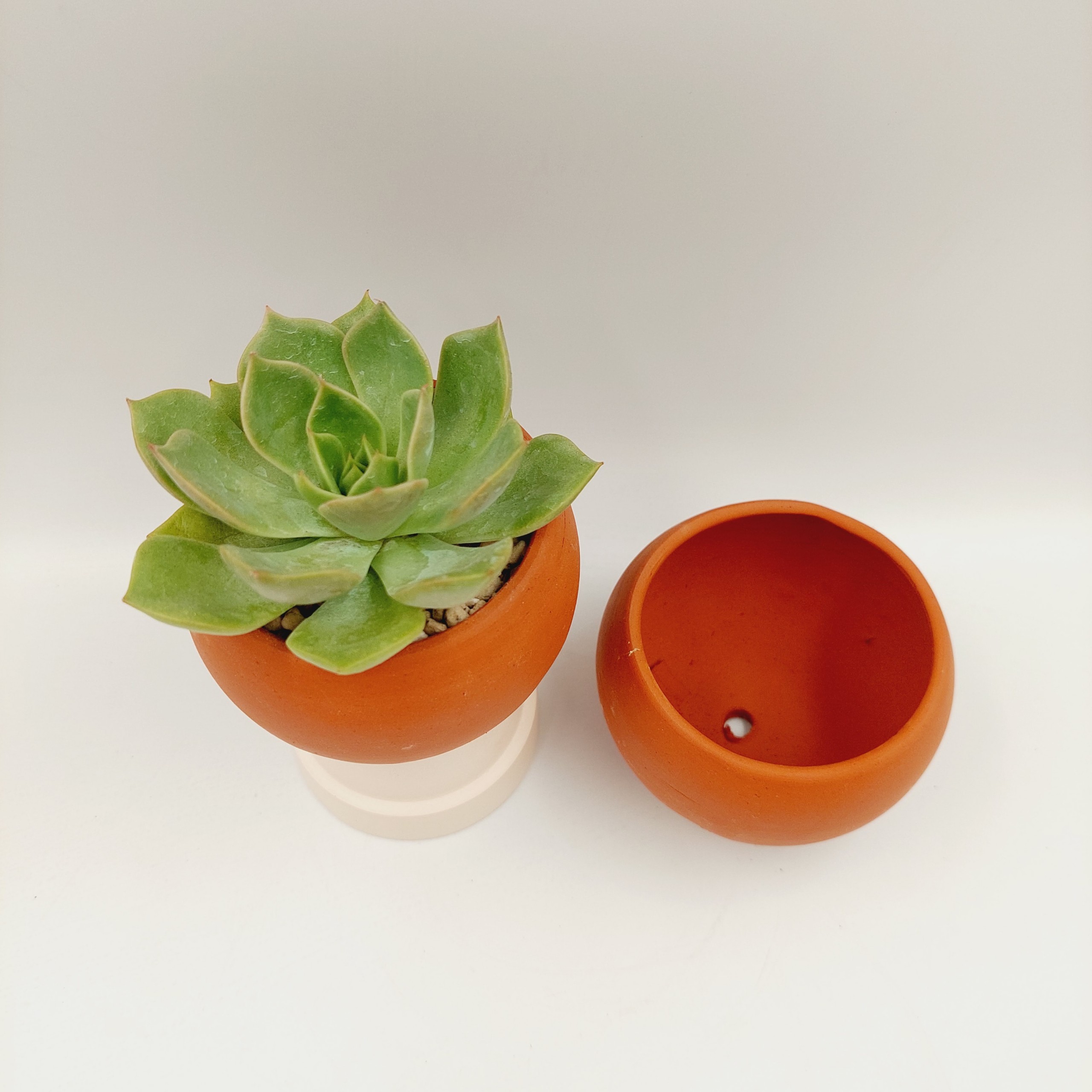 Chậu đất nung, chậu sen đá - Trái banh mini 76 , miệng chậu 7cm, chiều cao 6cm