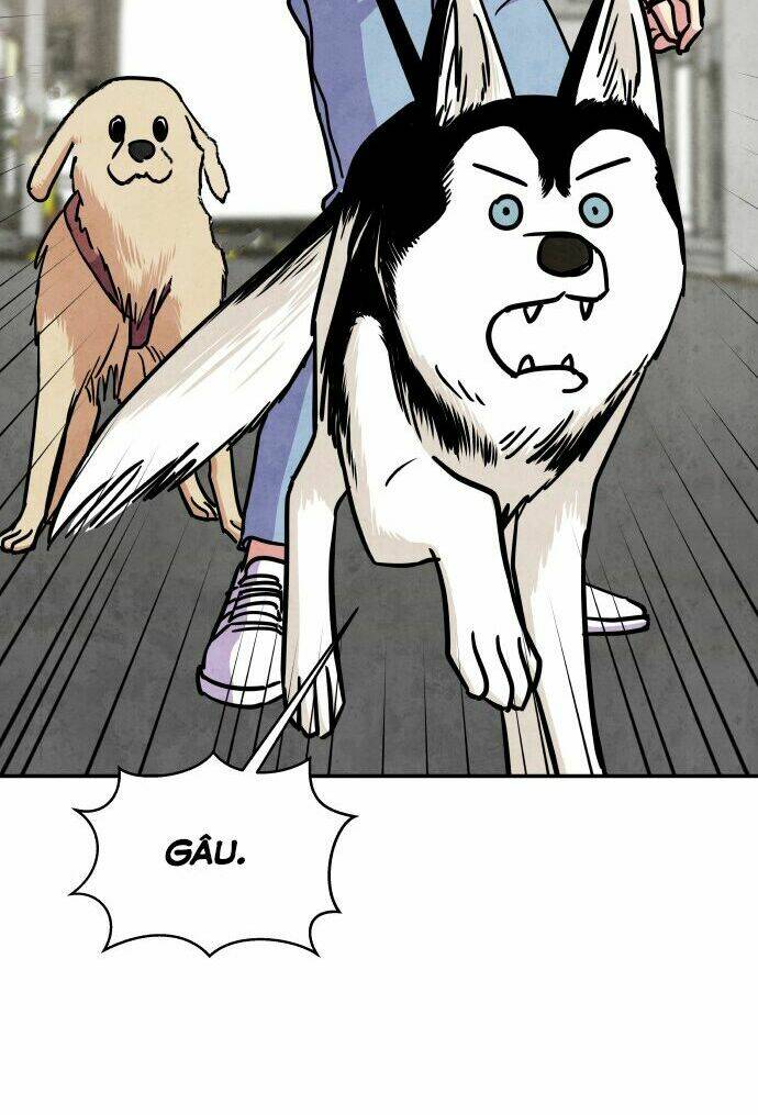 tai sói và mũ đỏ chapter 28 40