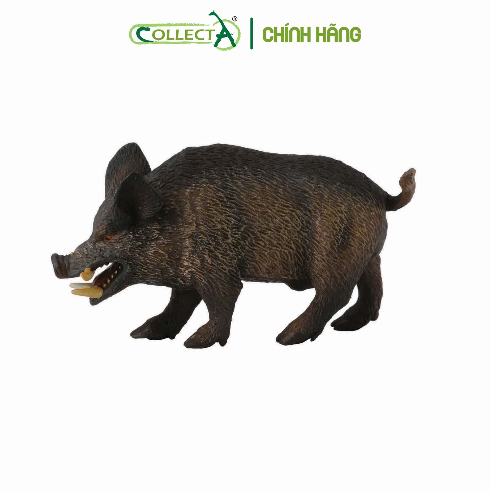 Mô hình thu nhỏ: Lợn Rừng - Wild Boar , hiệu: CollectA, mã HS 9651240[88363] -  Chất liệu an toàn cho trẻ - Hàng chính hãng