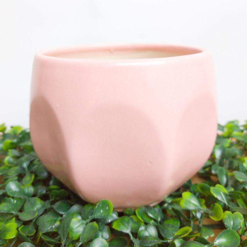 Chậu sứ hình tròn, bóng múi trồng cây, tiểu cảnh, sen đá, xương rồng