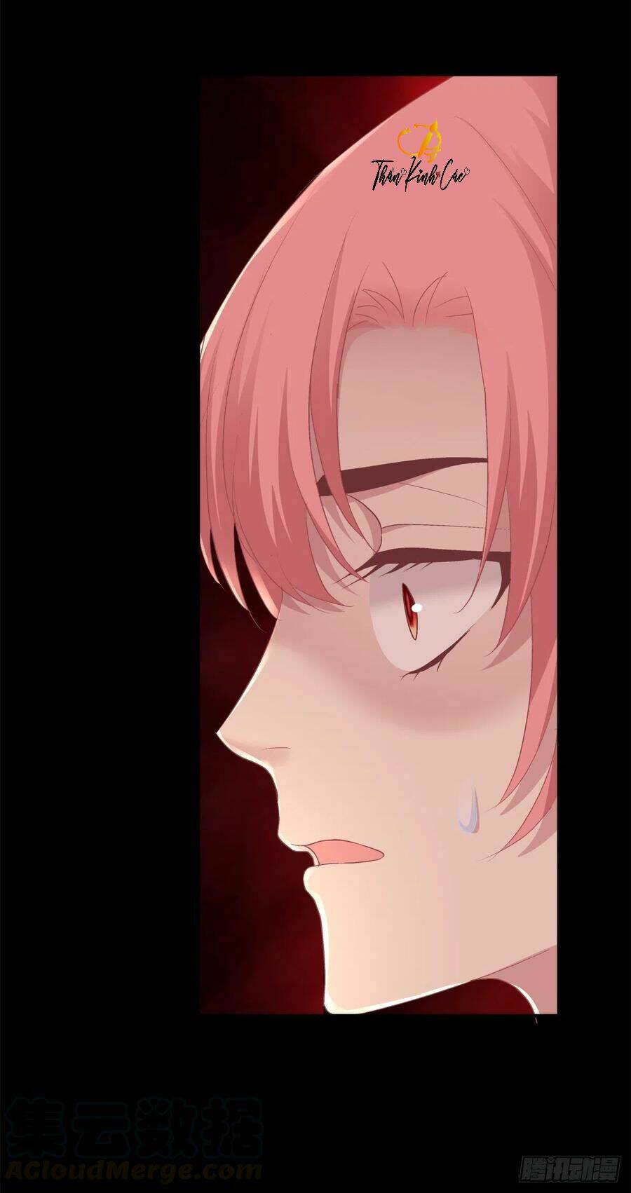 toàn bộ nắm trong tay chapter 73 19