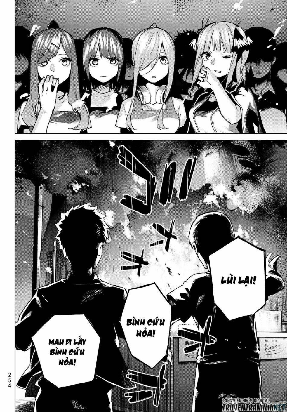 the five wedded brides chapter 105 19