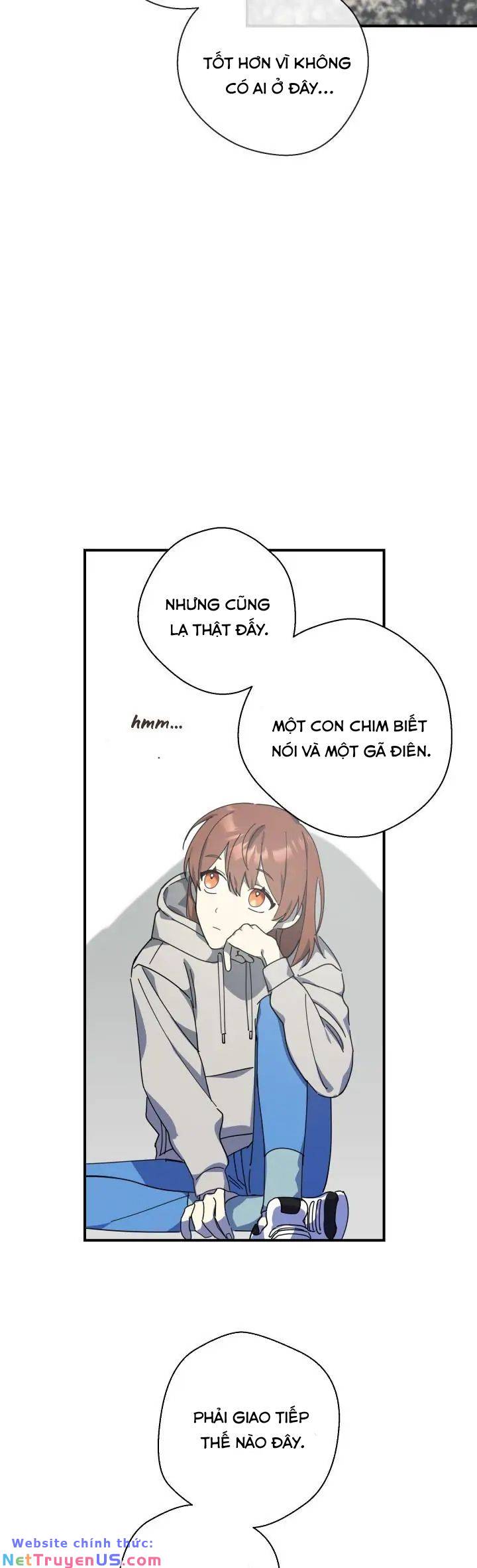 red and mad chapter 6 17