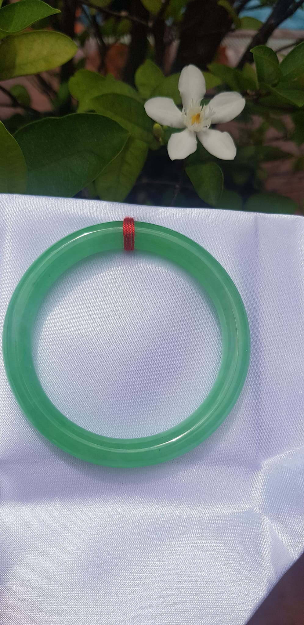 Vòng tay Nữ đá cẩm thạch Mới Lý Trong Size 54mm x cọng 7mm Vòng màu Xanh lá tươi 53kg - 62kg Nữ mệnh Mộc mệnh Hỏa Thủy đeo ạ