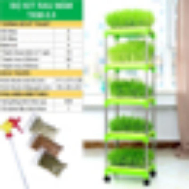 Bộ kít trồng rau mầm thủy canh TKM 5.5 gồm 5 khay, giá đỡ 5 tầng, vòi xịt, hạt giống