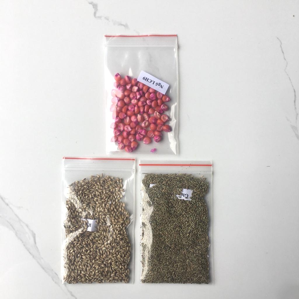 Combo 3C Gồm 3 Loại Hạt Giống Cỏ Chăn Nuôi