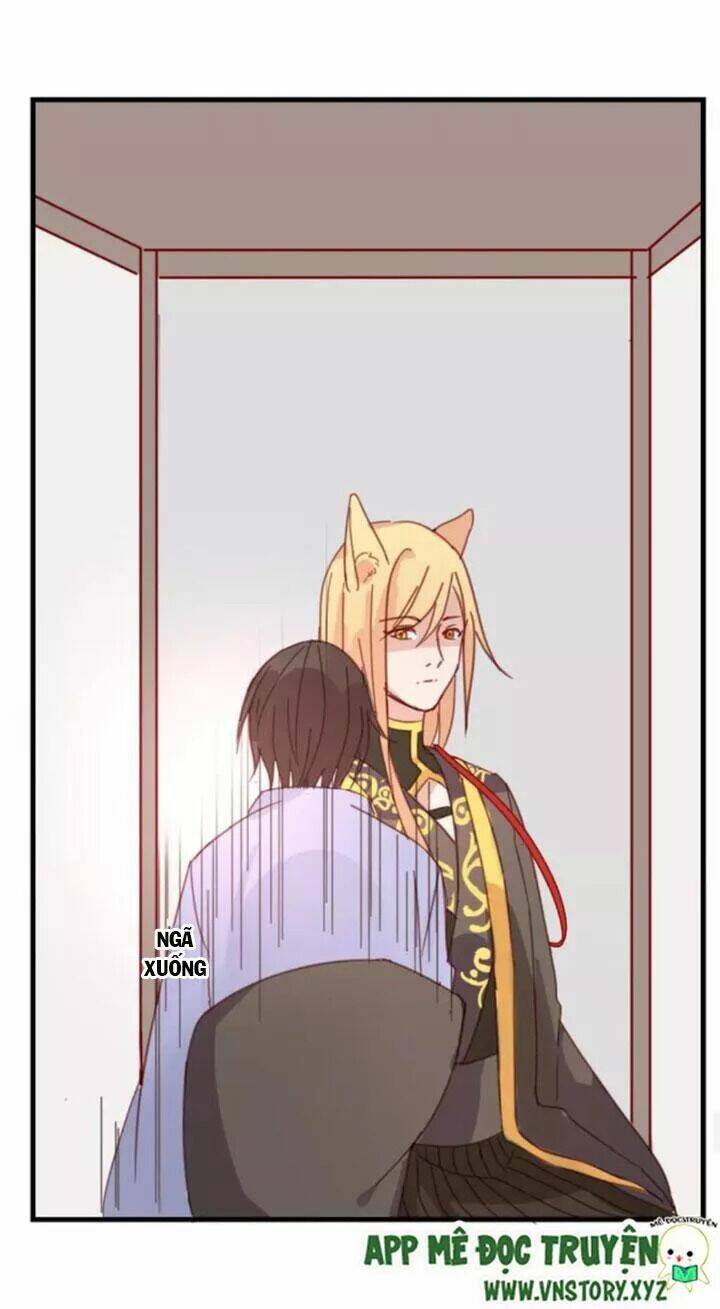 hồ tiên này không tin được chapter 49 25