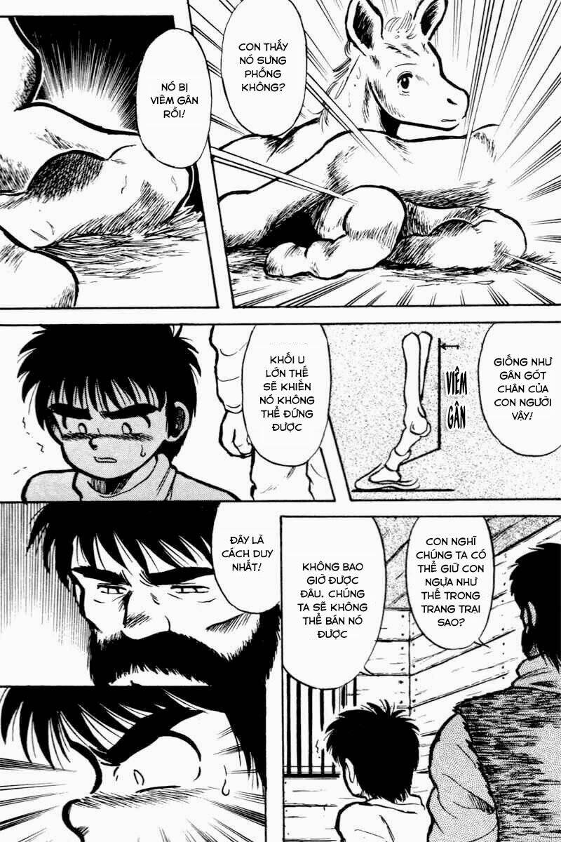 kaze no sylphid - phong mã silphid chapter 1 53