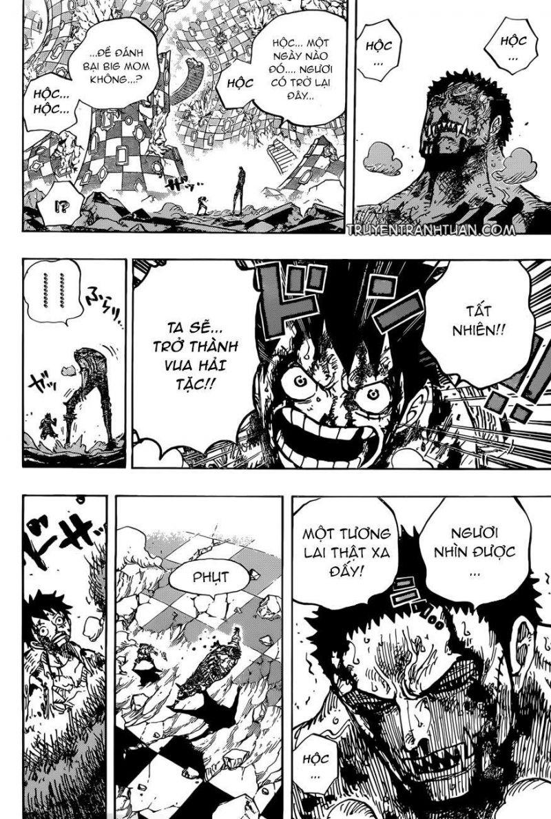 đảo hải tặc - one piece chapter 896 13