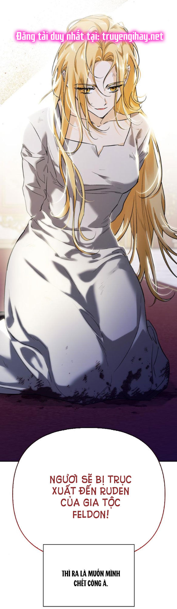 Tôi Thuần Hóa Chó Điên Của Chồng Cũ chapter 2.1 22