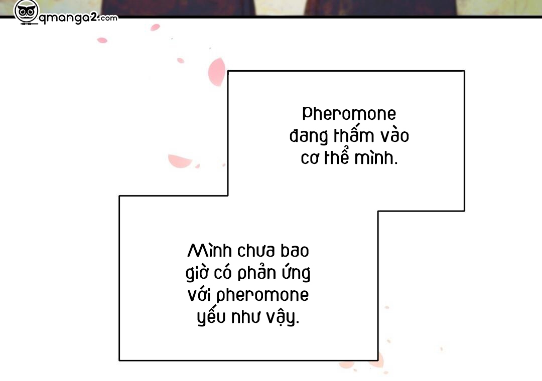 phức cảm tự ti của omega chapter 15 26