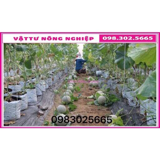 Combo 10 Túi vải địa ươm, trồng cây Kích thước 40x35cm có quai xách - Chậu vải địa không dệt