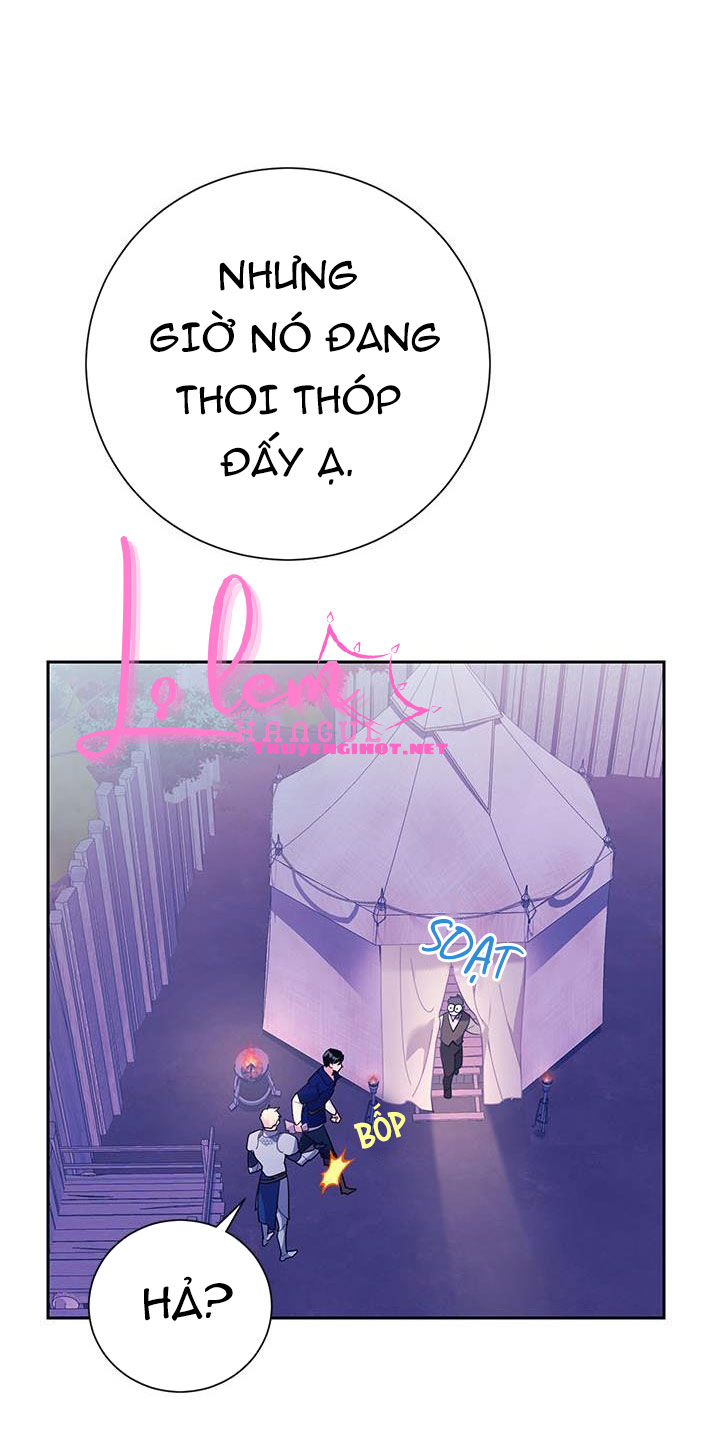 công chúa của loài chim chapter 38.1 40