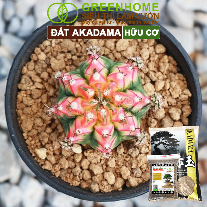 Đất Akadama Greenhome, Giá Thể Bonsai, Kiểng Lá, Sen Đá, Phân Nền Thủy Sinh, Nhiều Dưỡng Chất
