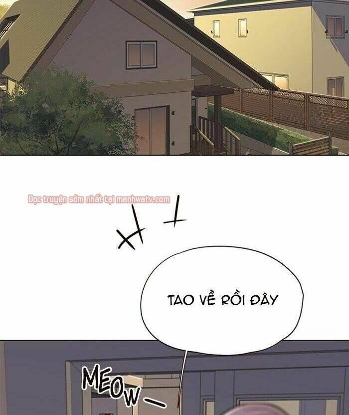 biến thân thành mèo chapter 49 73