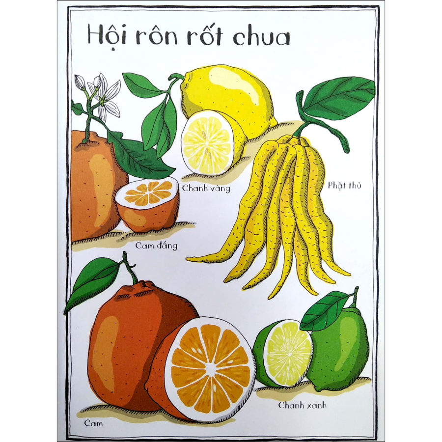 Vườn Bách Thảo Bằng Tranh