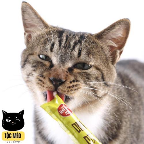 ️Súp Thưởng cho mèo WANPY 100 cho mèo- Gói 5 thanh