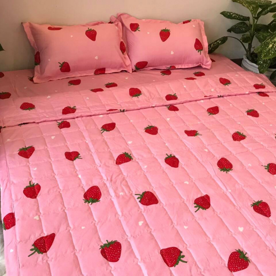 Bộ combo chăn ga gối cotton polly