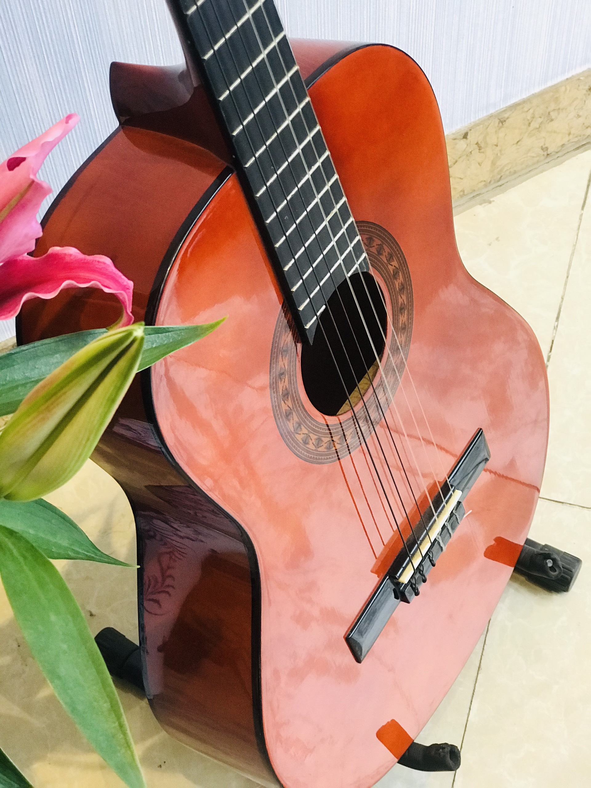 Đàn Guitar Classic Sol.G SCG03 Nâu Đỏ