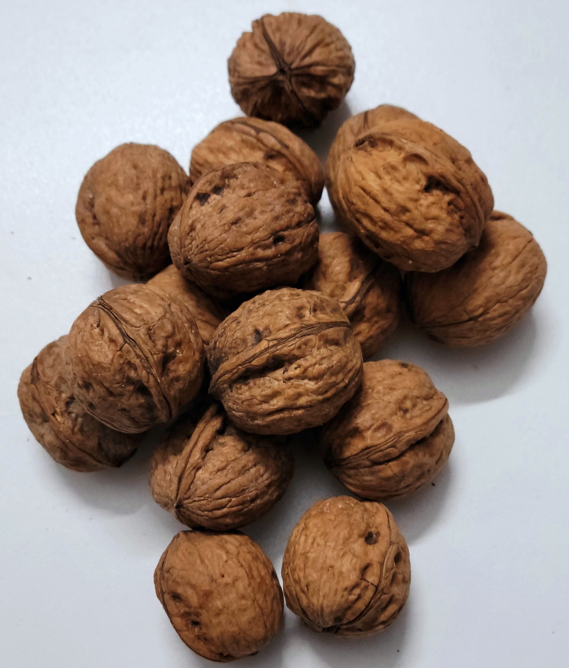 Quả Óc Chó đỏ Livermore - Nhập khẩu Mỹ, 500g