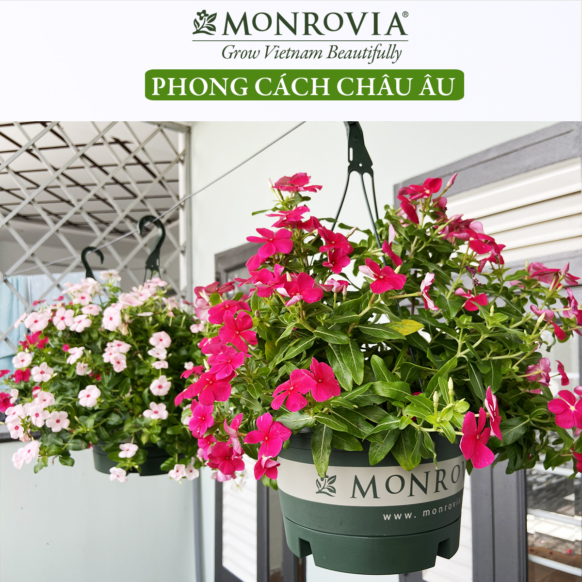 Chậu treo trồng cây MONROVIA Size L, Dòng T-series, chậu nhựa treo trang trí, trồng cây cảnh ban công, chậu trồng hoa, thiết kế tinh tế, thoát nước tốt, nhựa cao cấp PP, nhập khẩu, tiêu chuẩn Châu Âu