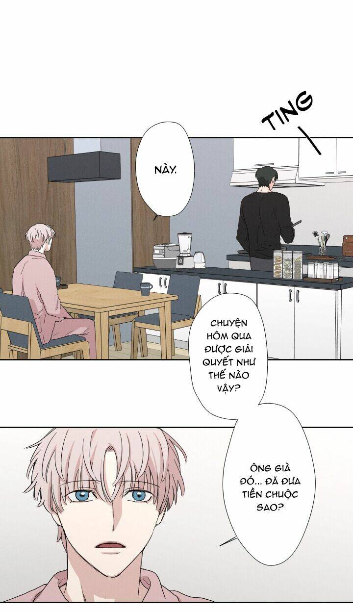 trốn tìm chapter 9 20