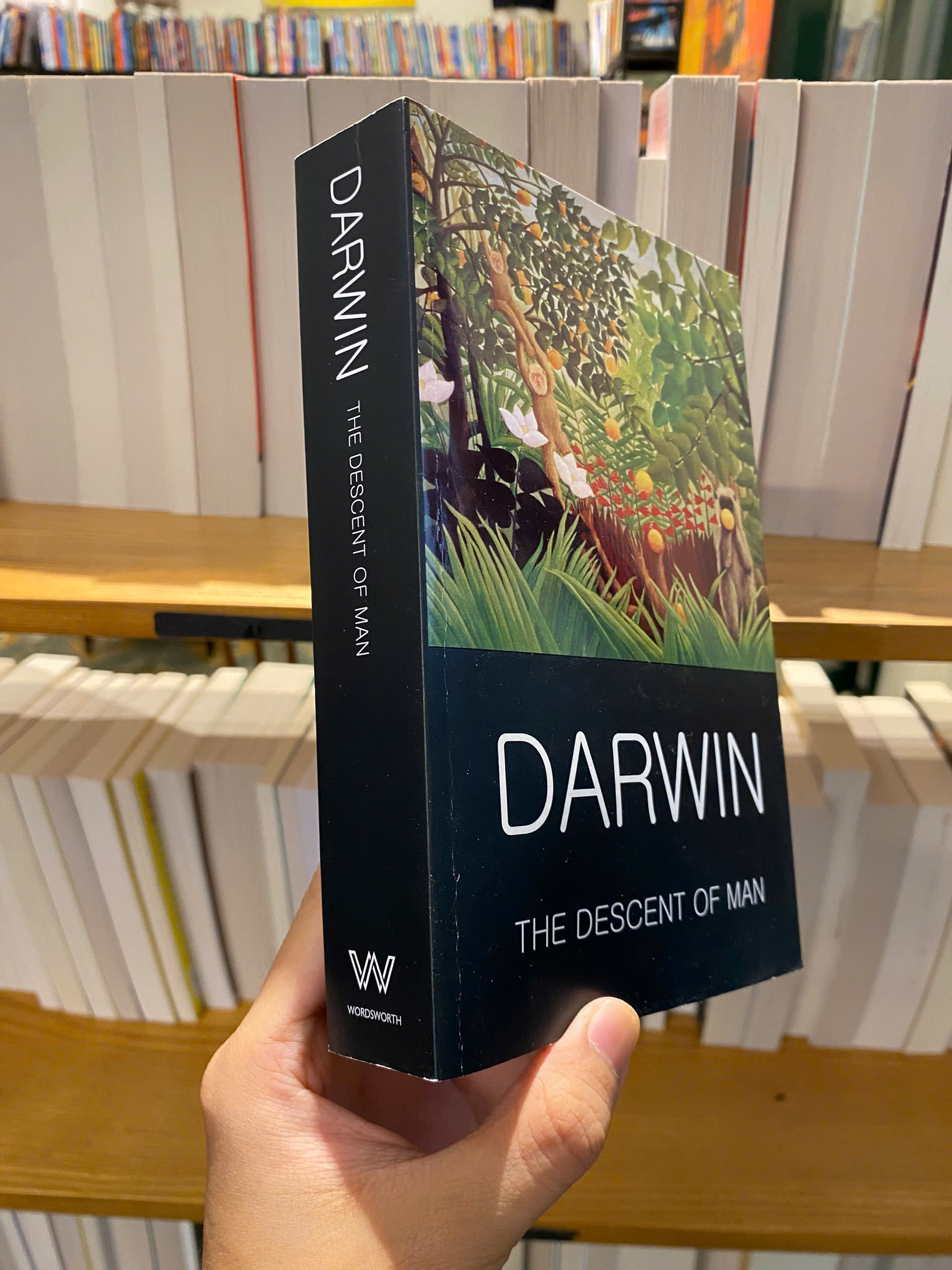 Sách - The Descent Of Man by Charles Darwin - Science/Nonfiction book in English - Ngoại Văn