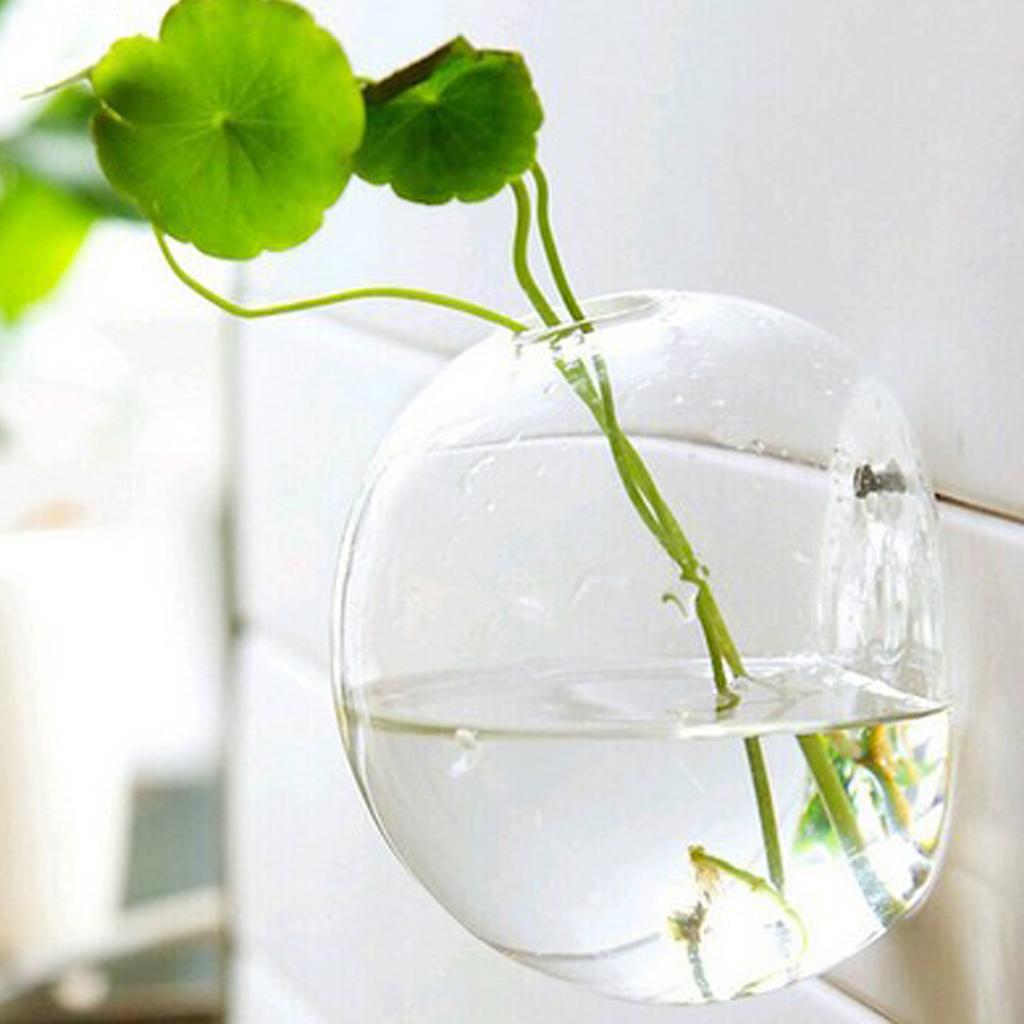 8x Tường Treo Dụng Cụ Bào Kính Thủy Canh Bình Vật Có Nồi Terrarium Bóng 10 Cm