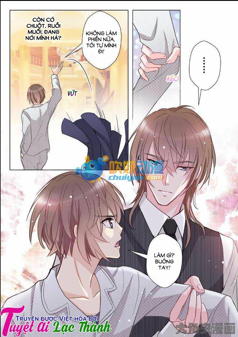 the stars are not luminous body chapter 12 7