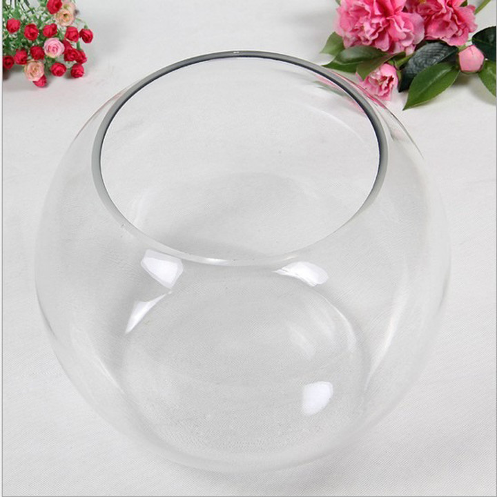 Chậu thủy tinh, bể cá mini D14H12