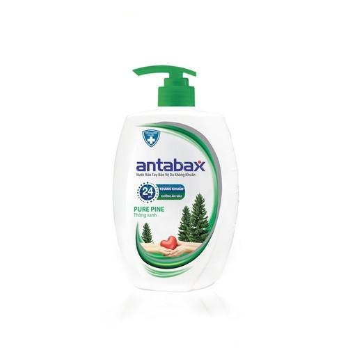 Combo 2 Nước Rửa Tay Bảo Vệ Da Kháng Khuẩn Antabax Pure Pine Thông Xanh 250ml