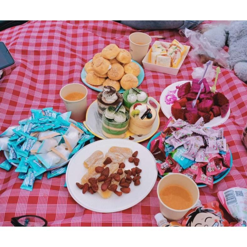 Loại dày có quai xách | Thảm picnic thảm lót tấm lót dành riêng cho cắm, thảm trải công viên