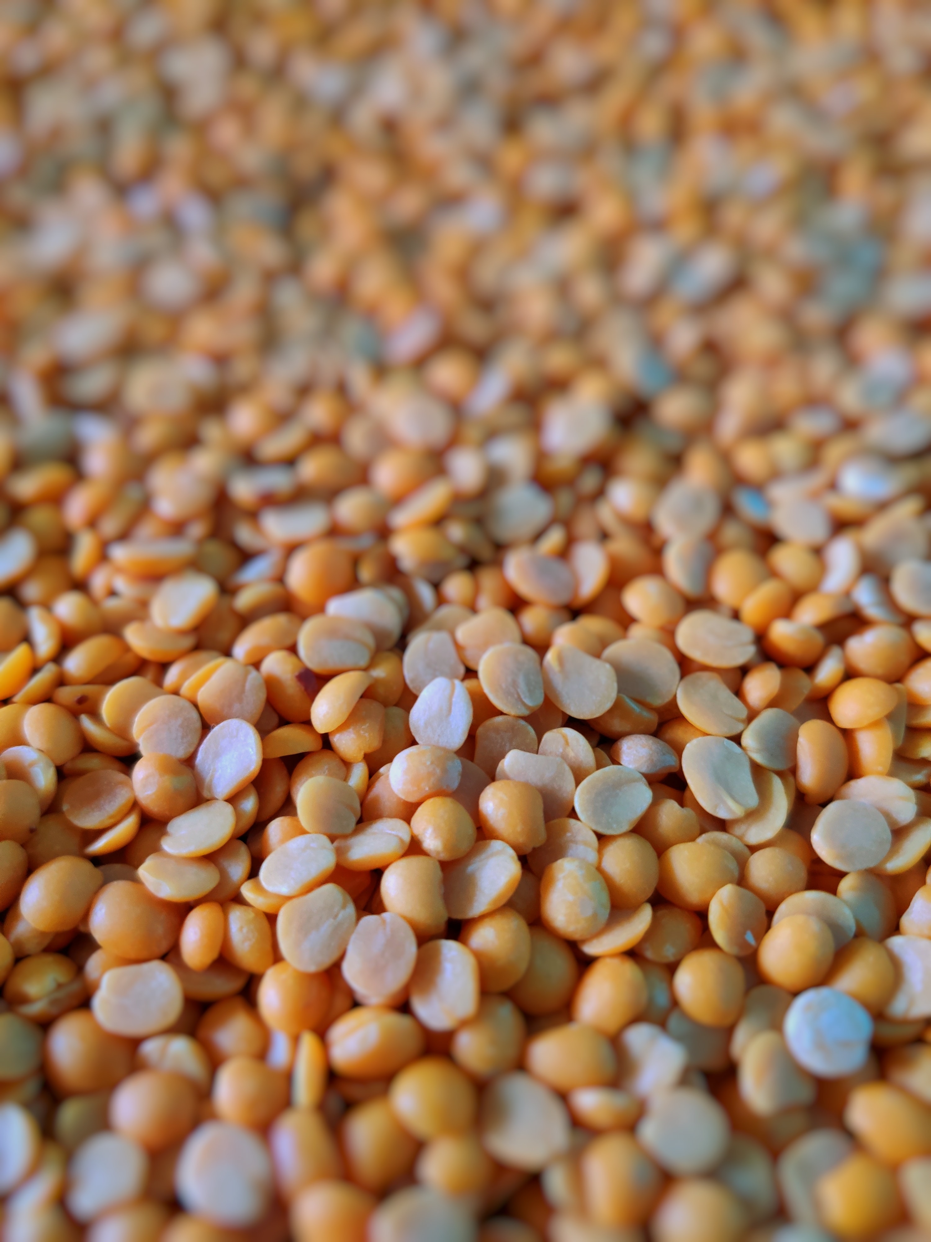 BỘT HÒA TAN ĐẬU LĂNG SỮA - LENTIL MILK INSTANT POWDER - Thương hiệu Hùng Phát: Thành Phần Tự Nhiên-Không hHương Liệu - Không Phẩm Màu - Không Chất Bảo Quản