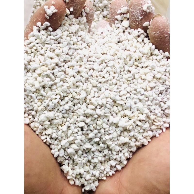 Đá Perlite - Đá trân châu siêu nhẹ cho sen đá & xương rồng gói 500gr