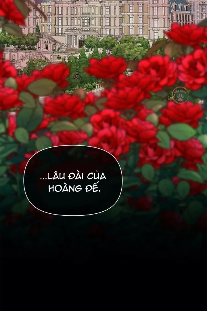 công chúa thời gian có hạn chapter 39 64