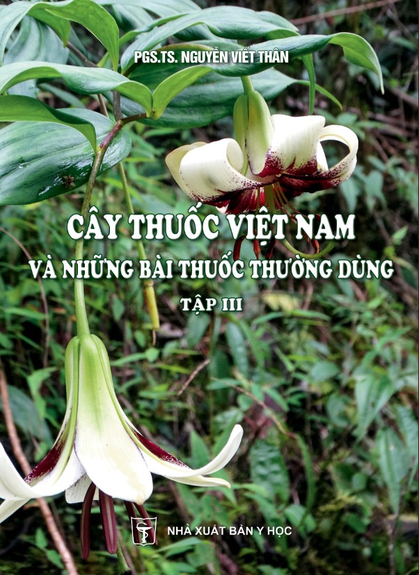 Sách - Cây thuốc Việt Nam và những bài thuốc thường dùng (Sách in mầu, 100% ruột couche)