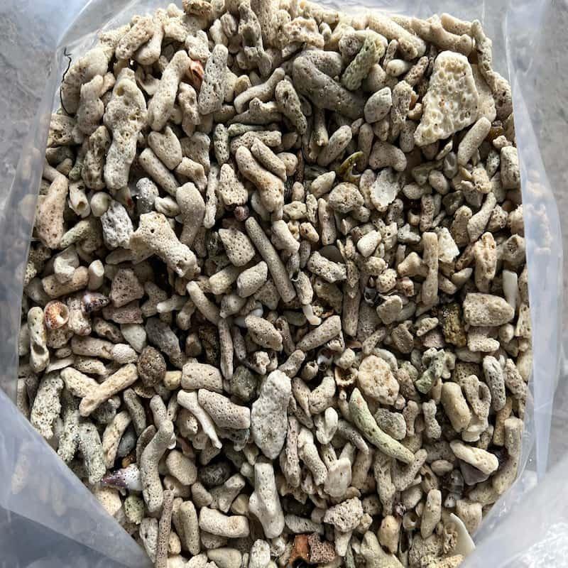 San Hô Vụn Dùng Để Lọc Nước 1kg